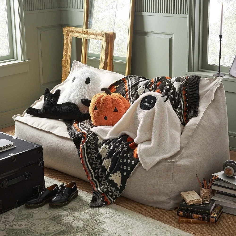Pottery Barn Teen softest pbt